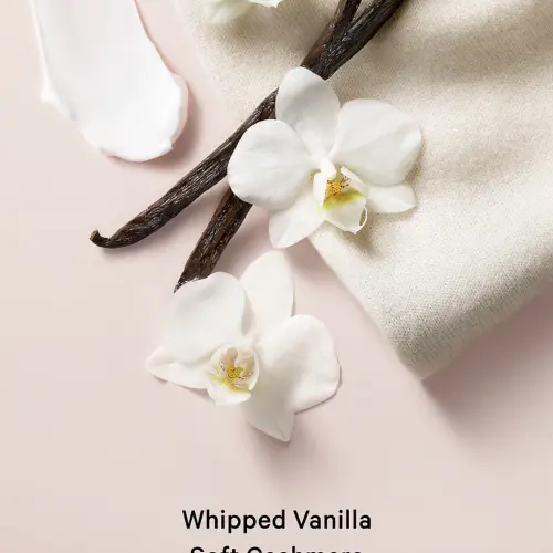 Bare Vanilla's photo #1